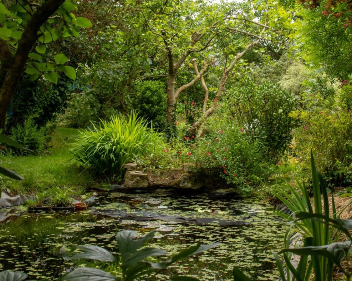 Une Suite Au Jardin Hyenville Dış mekan fotoğraf