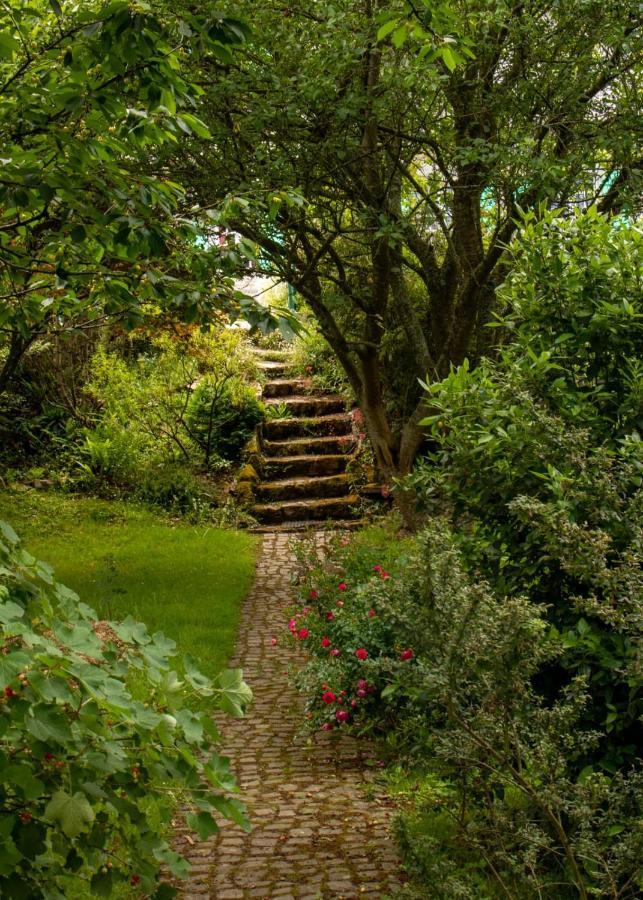 Une Suite Au Jardin Hyenville Dış mekan fotoğraf
